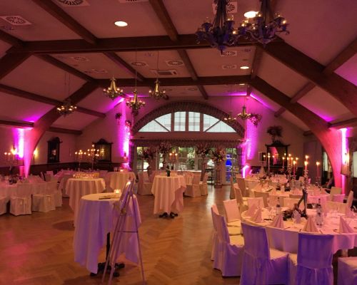 Ambientebeleuchtung weisses Pferd Riepe DJ Charlie 